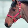 Topaz Nylon Headcollar -Saddle Sale Shop 387red