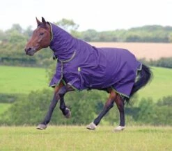 Highlander Original 100 Combo