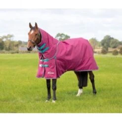 Highlander Original Turnout 300gm Rug And Neck Set