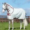 Horseware Amigo Aussie Allrounder-disc Front 1 Horseware Amigo Aussie Allrounder-disc Front -Saddle Sale Shop Amigo Aussie All Rounder Disc Front