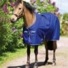 Horseware Amigo Hero 900 Lite Pony