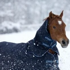 Horseware Amigo Hood