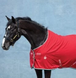 Horseware Amigo Stable Sheet X Sur Poly