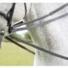 Aviemore Draw/running Reins -Saddle Sale Shop Aviemore draw reins
