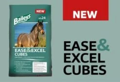 Baileys No.24 Ease And Excel Cubes