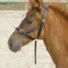 Velociti Gara Leather Foal Slip 1 Velociti Gara Leather Foal Slip -Saddle Sale Shop Blenheim Foal SLip