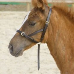 Velociti Gara Leather Foal Slip