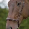 Blenheim Drop Noseband