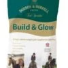 Dodson & Horrell Build & Glow -Saddle Sale Shop BuildandGlow