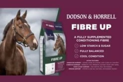 Dodson & Horrell Fibre Up