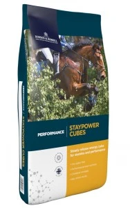 Dodson & Horrell Staypower Cubes