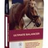 Dodson & Horrell Ultimate Balancer -Saddle Sale Shop DandH Ultimate Balancer