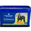 Dodson & Horrell Echinacea