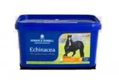 Dodson & Horrell Echinacea