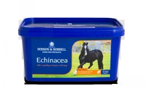 Dodson & Horrell Echinacea 3 Dodson & Horrell Echinacea