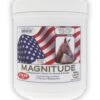 Equine America Magnitude