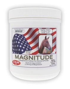 Equine America Magnitude