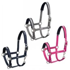 Eskadron Pin Buckle Glossy Headcollar