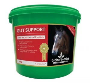 Global Herbs Gut Support 3 Global Herbs Gut Support