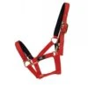 Hy Fieldsafe Headcollar 2 Hy Fieldsafe Headcollar -Saddle Sale Shop HY Fieldsafe Headcollar red