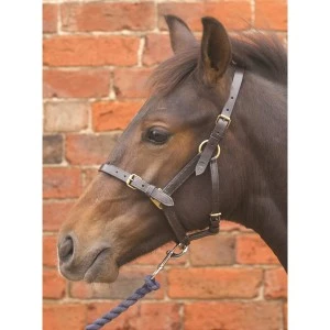 Hy Leather Foal Head Collar 3 Hy Leather Foal Head Collar