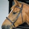 Jhl Pro Cavesson Bridle -Saddle Sale Shop JHL Pro Cavesson Bridle