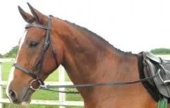 Jeffries Rubber Grip Clip