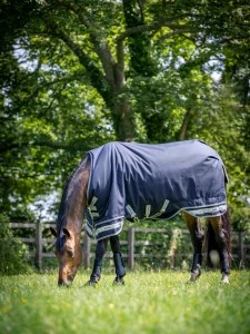Lemieux Arika Feather Weight Turnout Rug