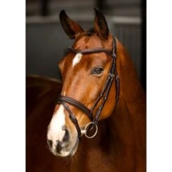 Lemieux Arika Flash Bridle
