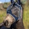 Lemieux Armour Shield Pro Fly Mask Half -Saddle Sale Shop LeMieux Armour Shield Pro Fly Mask Half
