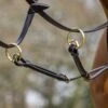 Lemieux Running Martingale -Saddle Sale Shop LeMieux Running Martingale Brown