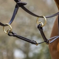 Lemieux Running Martingale