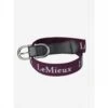 Lemieux Elasticated Belt Xs -Saddle Sale Shop Lemieux Elasticated Belt Fig