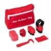 Lemieux Toy Pony Grooming Kit