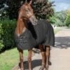 Lemieux Thermo-cool Rug -Saddle Sale Shop Lemieux thermo cool black