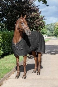 Lemieux Thermo-cool Rug