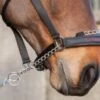 Lemieux Pro Safe Headcollar