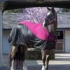 Lemieux Thermo-cool Light Rug 1 Lemieux Thermo-cool Light Rug -Saddle Sale Shop Lemiuex thermo cool light plum