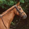 Mackey Equi-sential Grass Reins -Saddle Sale Shop Mackey Equisential Grass Reins