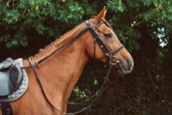 Mackey Equi-sential Grass Reins