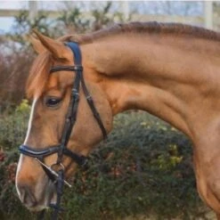 Mackey Legends Athena Bridle