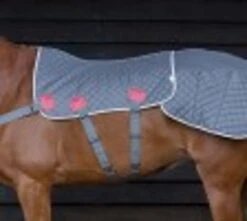 Magnetic Back & Quarter Pad