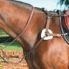 Mark Todd 5 Point Breastplate -Saddle Sale Shop Mark Todd 5 Point Breastplate
