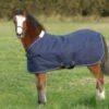 Mark Todd Foal T/out Rug -Saddle Sale Shop Mark Todd Foal Turnout Rug
