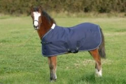 Mark Todd Foal T/out Rug
