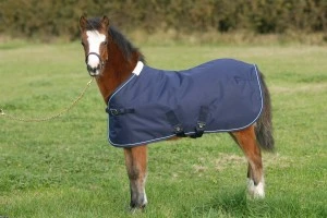 Mark Todd Foal T/out Rug 3 Mark Todd Foal T/out Rug