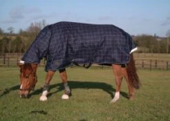 Mark Todd Heavy Weight Turnout Combo