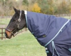 Mark Todd Heavy Weight Turnout Neck