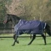 Mark Todd Heavy Weight Turnout 2 Mark Todd Heavy Weight Turnout -Saddle Sale Shop Mark Todd Heavy Weight Turnout Rug