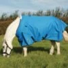 Mark Todd Lightweight Pony Turnout